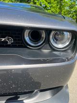 Dodge Challenger Hellcat SRT Widebody  Unfallfrei 2.Hd - Dodge Challenger: Hellcat