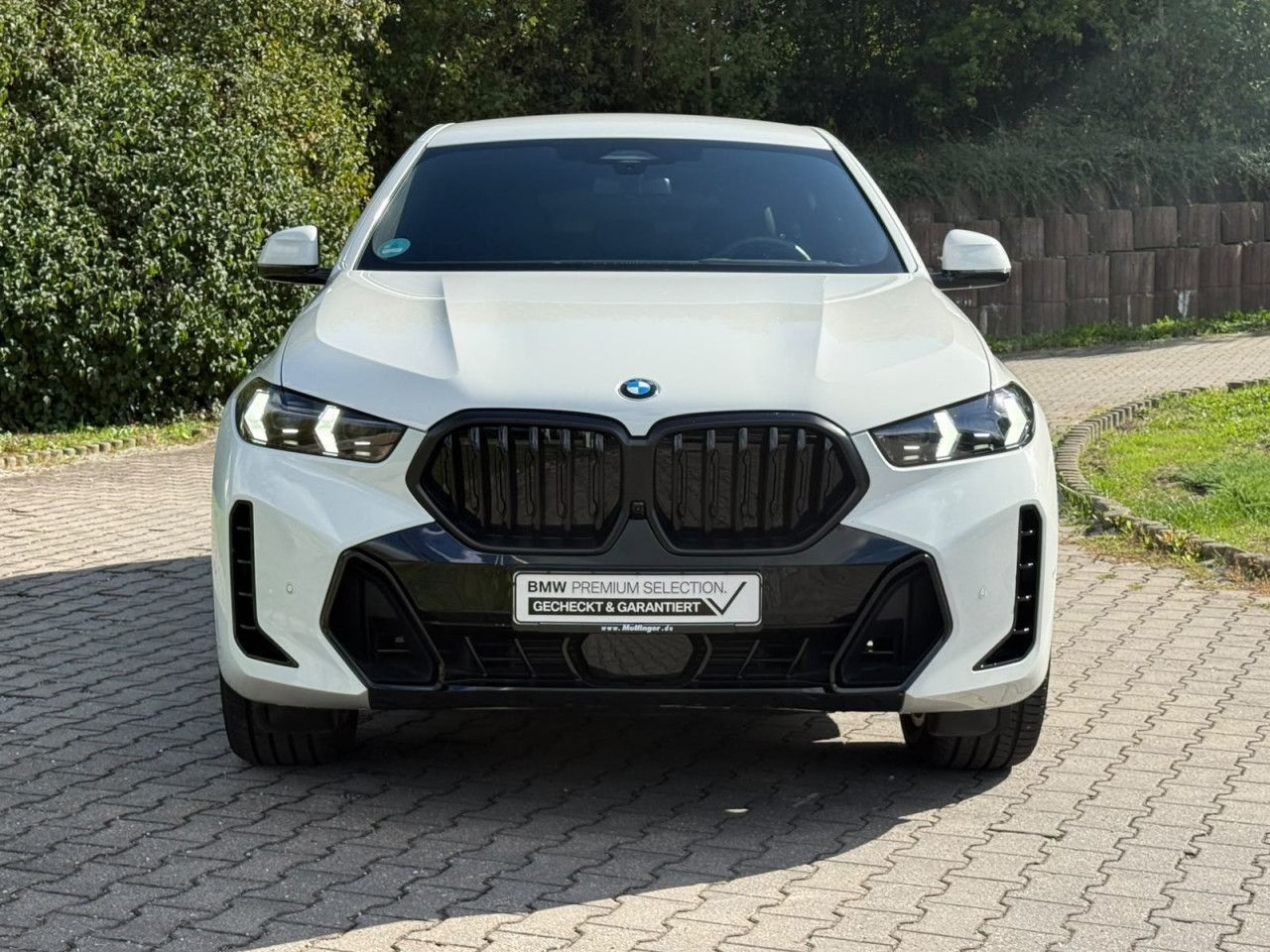 BMW X6 x30d M Sport Pro Iconic foto 3