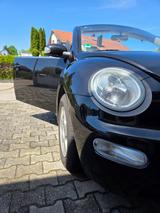 Volkswagen New Beetle 1.6 Cabriolet Standard - Volkswagen New Beetle Standard mit Benzin-Antrieb
