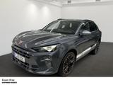 Cupra Terramar VZ 2.0 TSI DSG 4DRIVE Pano Sennheiser A - Cupra Terramar in Bochum