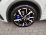 Volkswagen Tiguan 2.0 TSI DSG 4M. R Akrapovic Harman Kardon - Gebrauchtwagen mit Akrapovic Auspuffanlage