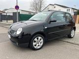 Volkswagen Lupo 1.4 44kW Cambridge*Klima*TÜV 05.2025 - Volkswagen Lupo: 1.2