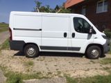 Fiat Ducato 250 TÜV 06.27  Kastenwagen 3 S... - Fiat Ducato mit Diesel-Antrieb: 2.0