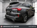 Ford Kuga ST-Line X HUD AHK klappbar Panodach Navi - Ford Gebrauchtwagen in Witten