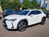 Lexus UX 250h Style Edition Style+ - Lexus UX: Style Edition