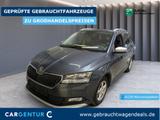 Skoda Fabia Combi 1.0 TSI ScoutLine ACC Navi Facelift - Skoda Fabia: Scout Combi
