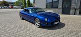 TVR Cerbera 4,5 Top Zustand - TVR: Cerbera