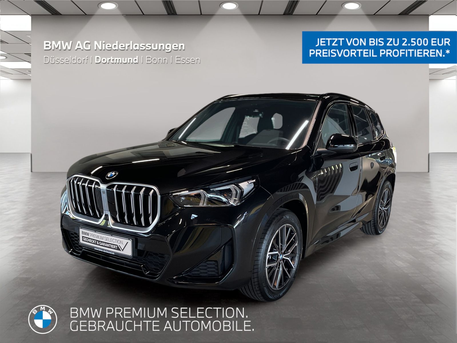 BMW X1 xDrive20d M Sport AHK Driv.Assist.Prof LED foto 1