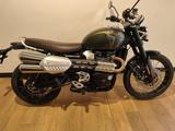 Triumph Scrambler 1200X Ausstellungsfahrzeug Modell 2025 - Triumph Motorräder in Dresden