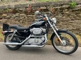 Harley-Davidson 100 Jahre Sonderedition, Sportster XL883 Custom  - Offers