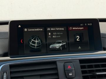BMW 318 - 12