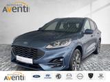 Ford Kuga ST-Line SHZ*RFK*Navi*Lenkradhzg.*Kamera - Ford Kuga Automatik mit Anhängerkupplung