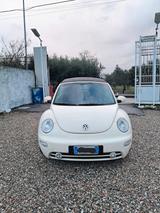 Volkswagen New Beetle 1.6 GPL - Volkswagen New Beetle: Beige