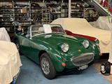Austin Healey Sprite Frosch Frog-Eye MK1 - Austin Healey Oldtimer