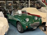 Austin Healey Sprite Frosch Frog-Eye MK1 - Austin Healey: Frog