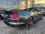 Ford Mustang GT Convertible Shelby 350 /FULL BODYKIT/ - Ford Mustang: Gt350