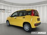 Fiat Panda Base 1.0 Mild Hybrid EU6e DAB Spurhalteass - Fiat Panda Neuwagen: Eu