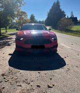Ford FORD MUSTANG 2.3  ECOBOOST FASTBACK - Ford Mustang: Fastback