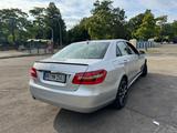 Mercedes-Benz E 250 BlueEFFICIENCY ELEGANCE ELEGANCE - Mercedes-Benz E-Klasse: Elegance