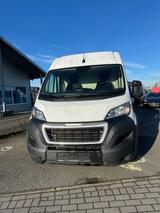 Peugeot Boxer Kasten 435 L3H2 Grip BlueHDi 165 - Peugeot Boxer l1h1