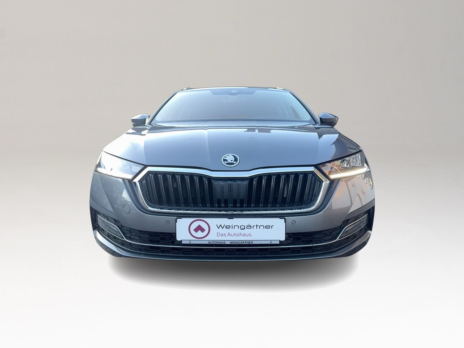 Octavia Combi 1.4 TSI iV Style, Reise Plus, Komf