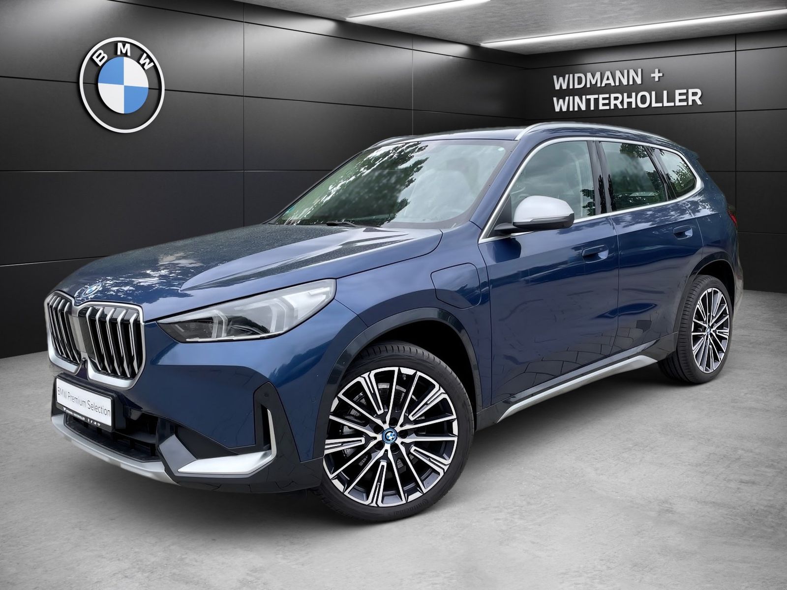 BMW X1 xDrive30e xLine HUD DA Prof. ad.LED AHK PA foto 1