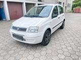 Fiat Panda Benzin/Erdgas - Fiat Panda in Hamm