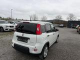 Fiat Panda Base * Klima* - gebrauchte Kleinwagen