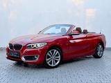 BMW 220d Cabrio Aut Luxury Line 1.Hd/BiXen/Leder/EU6 - rote BMW 2er Reihe