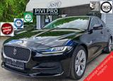 Jaguar XE D200 LED.NaviPro.Leder.360°Cam.BLIS.LKA.1Hd. - Jaguar XE aus 2021
