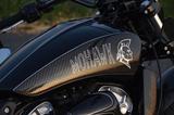 Indian Scout MOHAWK Edition by Hollisters - Offers