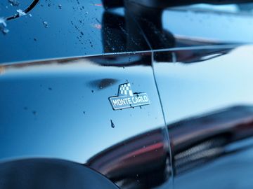 Bild 8 Skoda Fabia DSG Monte Carlo LED SmartLink Kamera 85KW