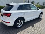 Audi Q5 50 TDI tiptronic quattro - - Audi Q5 Gebrauchtwagen in Köln