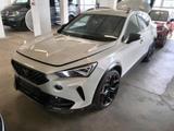 Cupra Formentor VZ5 4D Edition Taiga Grey*BEATS*R-CAM* - Cupra Formentor VZ5 mit Benzin-Antrieb