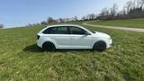 Skoda Rapid Spaceback Clever 1.0TSI; SHZ; Pano; Kamera - Skoda Rapid mit Panoramadach