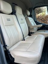 Renault STX Renault Master 2 Pferden   - Tier- & Pferdetransport für 2 Pferde