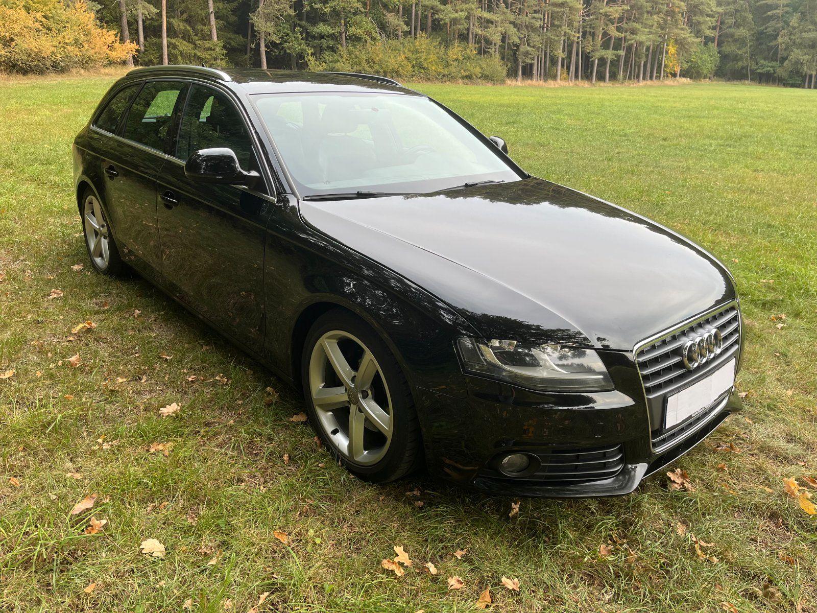 Audi A4 2008 — вигляд ззаду