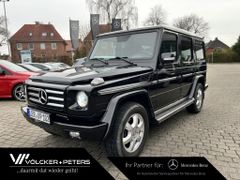 MERCEDES-BENZ G 350 BlueTEC lang+STANDH.+EDELSTAHL+KAMERA+COMA