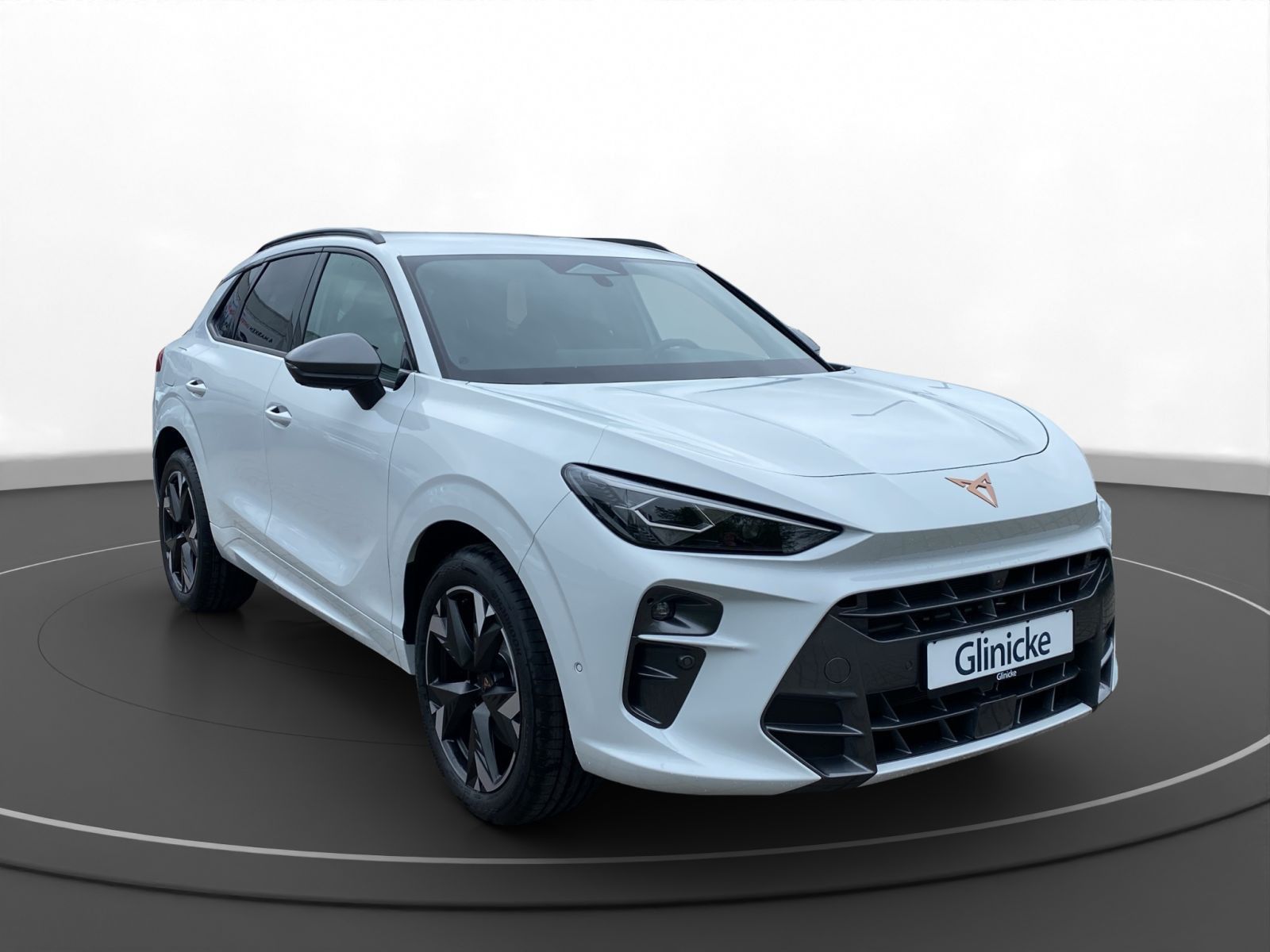 Cupra Terramar - Bild 8