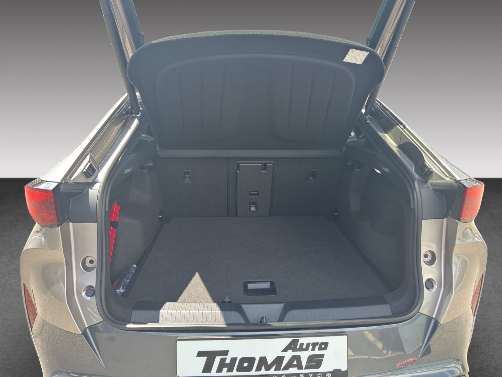 Cupra Tavascan - Bild 12