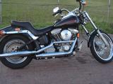 Harley-Davidson FXST
