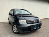 Fiat Panda 1.2 8V Dynamic Aut. *5-TÜRER*KLIMA* - Fiat Panda: 5.5