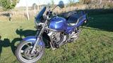 Kawasaki ER - Angebote