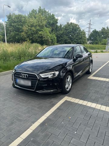 AUDI Audi A3 2.0 TDI Tüv Navi 1 Hand Kamera Zah...