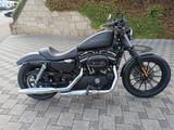 Harley-Davidson XL 883 Iron