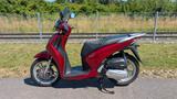 Honda SH150 - EXPORT / Wiederverkäufer - ROLLER VON 126 BIS 250 CCM