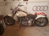 Harley-Davidson FXSTS Softail  - HARLEY-DAVIDSON FXSTS