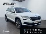 Skoda Kodiaq 2.0 TDI 4x4 DSG Clever *LED*hzb Fronts*AC - Skoda aus 2021