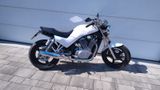 Suzuki VX 800 - Angebote entsprechen deinen Suchkriterien