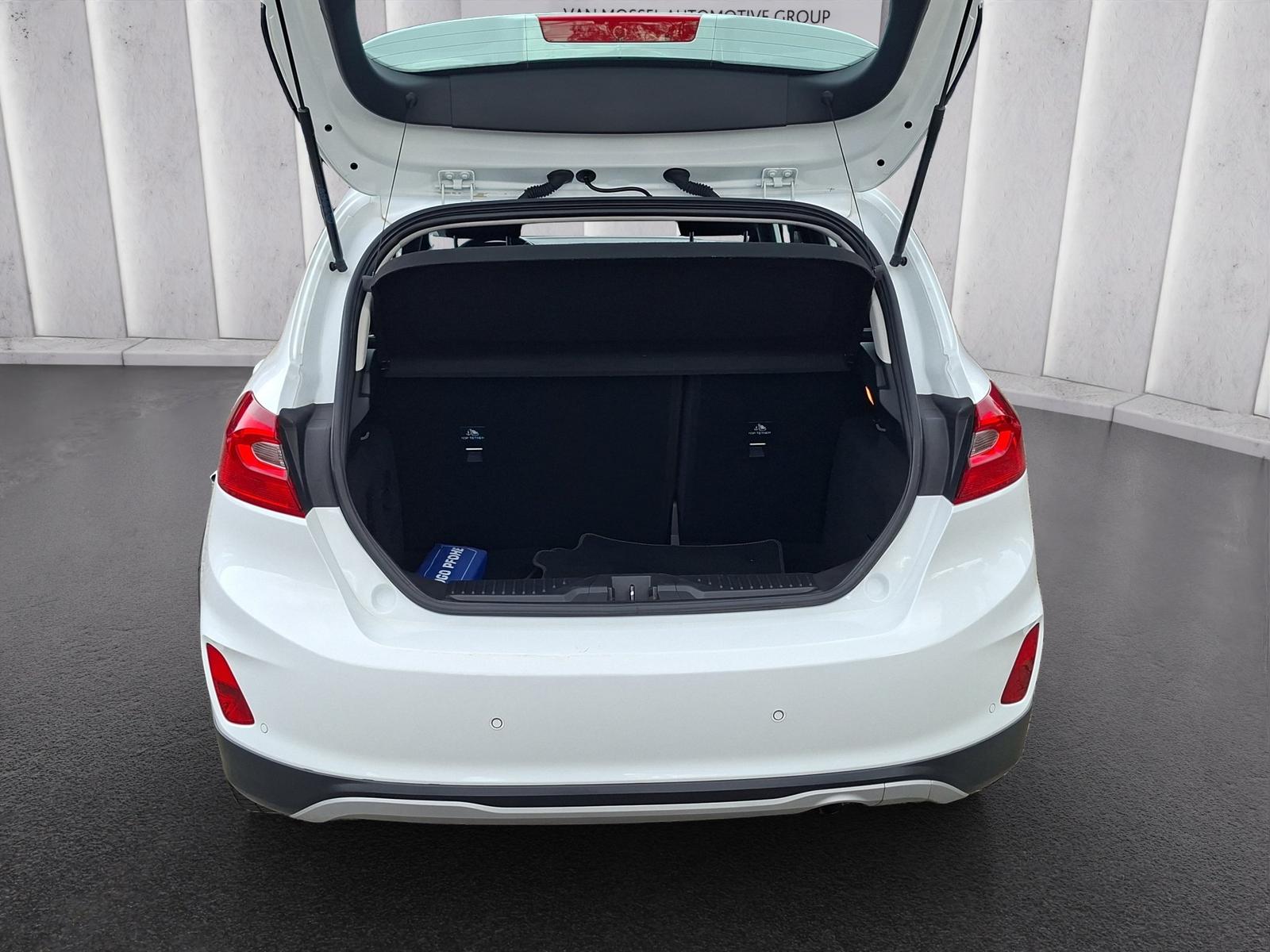 Ford Fiesta Active 1.0 EB GJR | SHZ | PDC | LMF | Kli